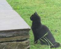 bird watcher