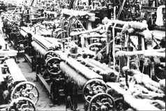 Mucky looms