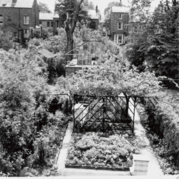 GardenNapierRoad