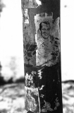 Demolitionpinupsonpillarinshed800701