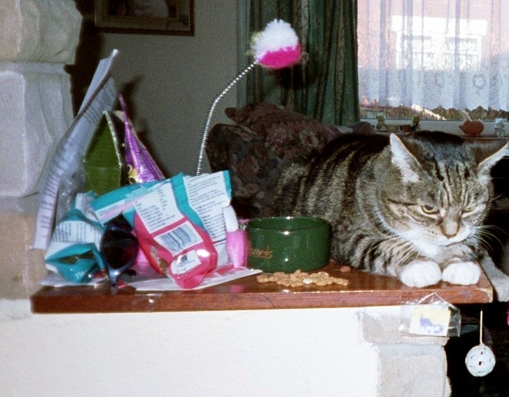 Beauty2002