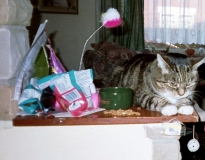 Beauty2002