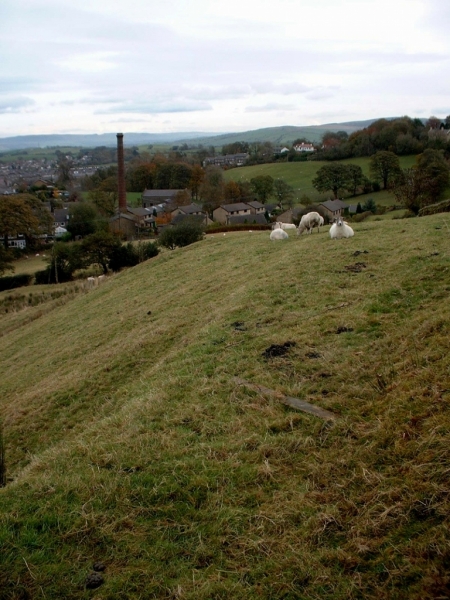 CausewayCarr