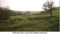 Middop earthwork 2