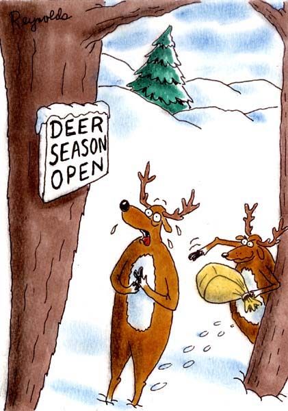 deer