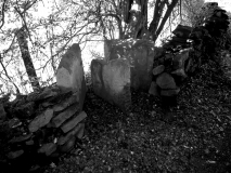 Shittenginnel kissing gate03
