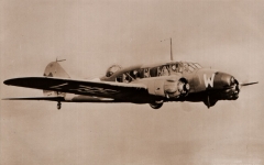 AvroAnson