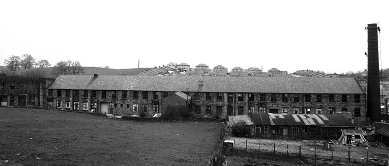 CalfHallShed786311