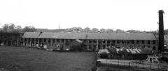 CalfHallShed786311