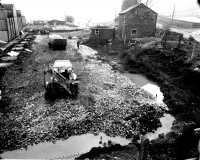 Ghyll Brow