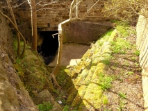 ParrockWeir01