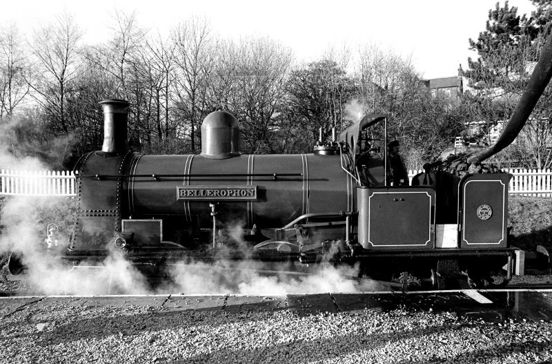 BellerophonHaworth658501