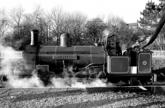 BellerophonHaworth658501
