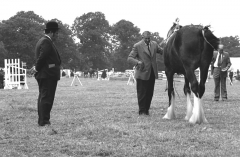 SuttonColdfieldshow764523