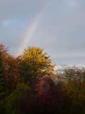 Autumn rainbow
