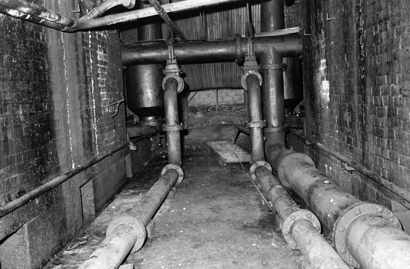 Ellenroadcellar098704