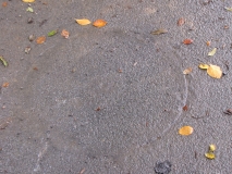 circle