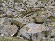 Deerstones / Devils Footprints