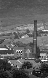 CoralNewhey288701