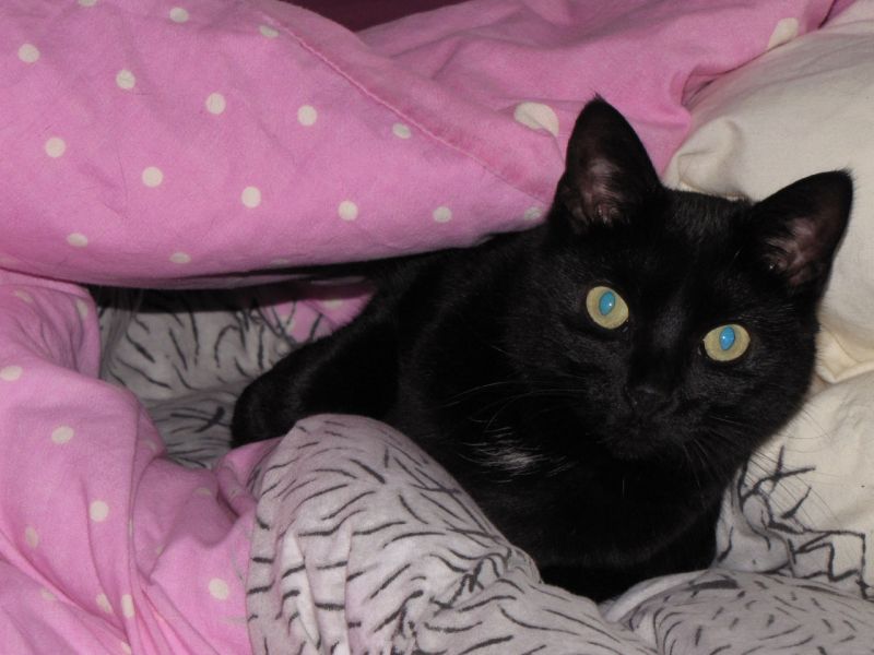 JJ on bed