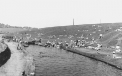 Greenberfield021958