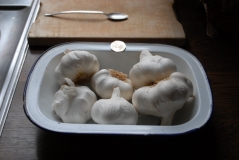 Garlic