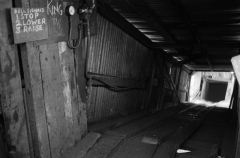 Clivigerdriftmine831711