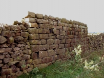 WallHaynslack