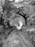 Marlfielddarklane