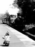 WorthValley892709
