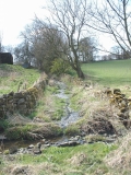 HallLane04