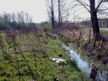 FoulSyke01190402