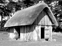 anglo-saxon hall