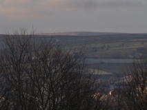 Bank Edge view12th Jan 2014 011