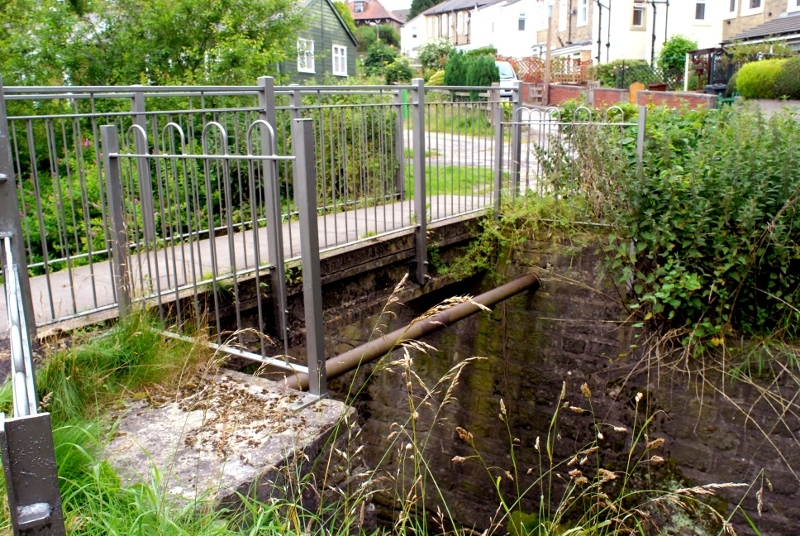 Valley Gardens Footbridge 01