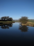 Canal Jan 20th 2014