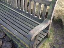 Millenium Bench Weets Summit 2