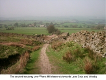 Weets trackway