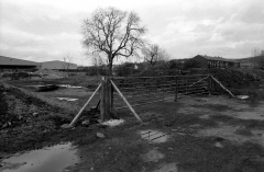 EllenroadSite418602