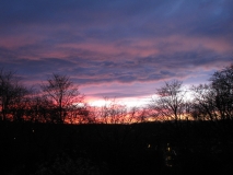 Bank Edge sunset