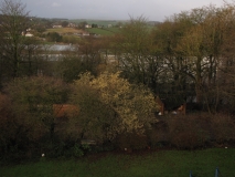Bank edge view 2nd Feb 2014