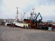 MallaigHarbour03