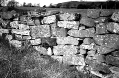MalkinTowerwallaug0204