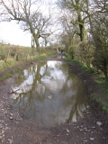Salterforth Lane 2013