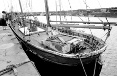 Whitehaven Mary578619