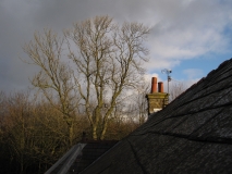 Bank Edge View 16th Feb 2014 010
