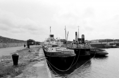 Whitehaven Mary578628