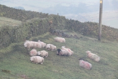 resting tups