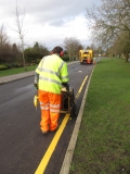 Victory Park yellow lining Feb 2014