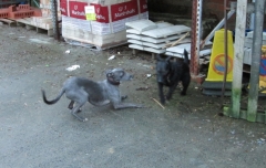 Jack and Bob 25022014